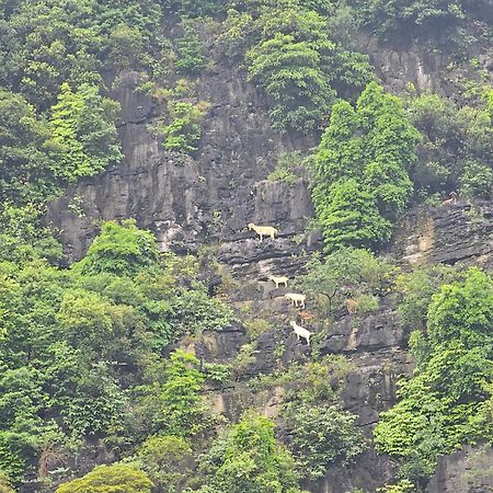 Fairy Mountain Retreat Hotell Ninh Binh Eksteriør bilde