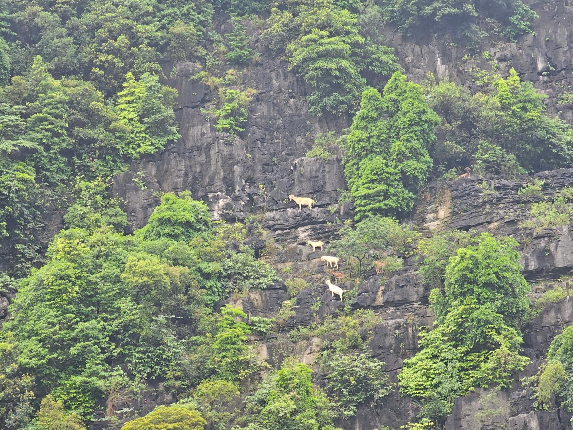 Fairy Mountain Retreat Hotell Ninh Binh Eksteriør bilde