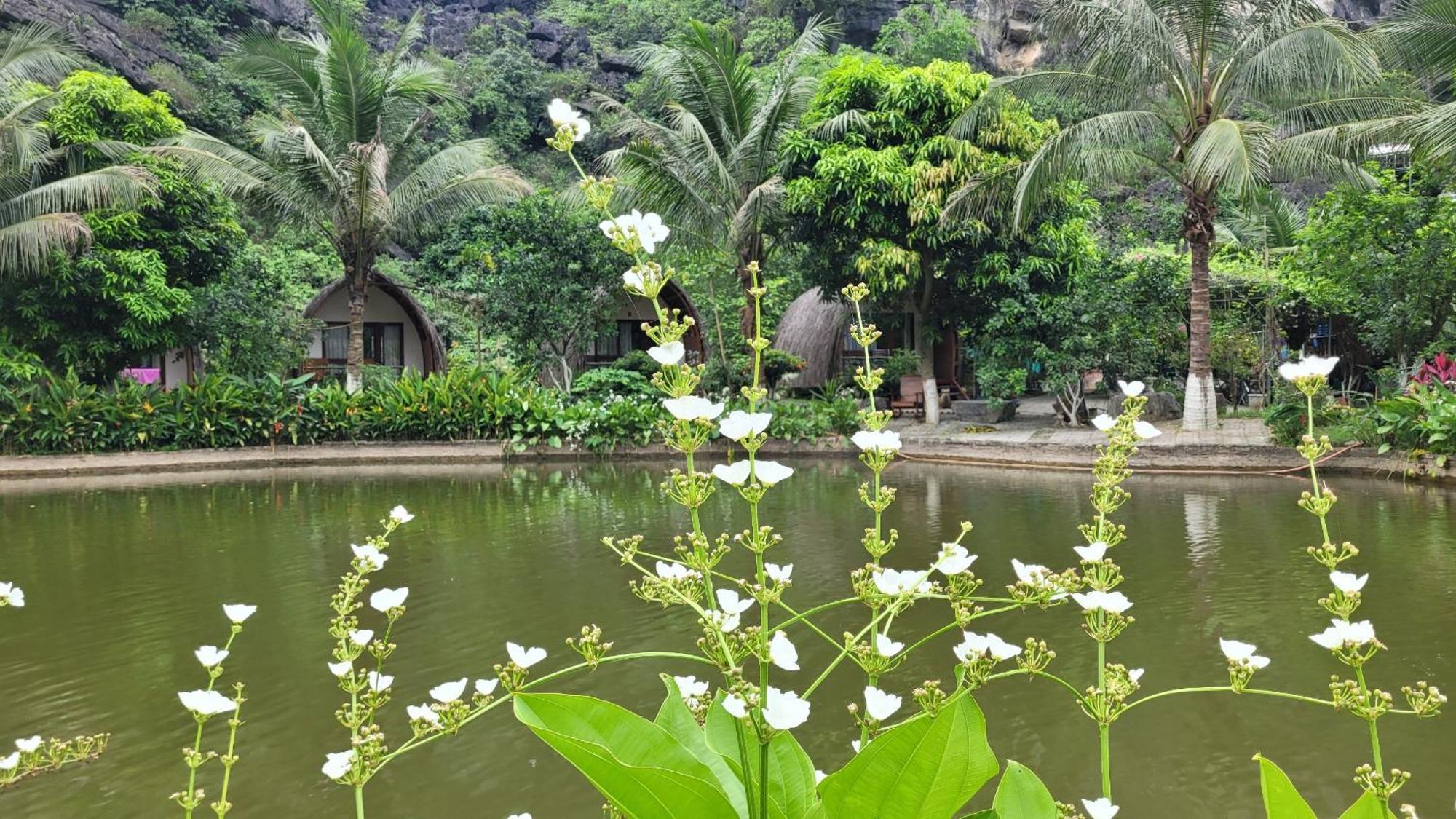 Fairy Mountain Retreat Hotell Ninh Binh Eksteriør bilde